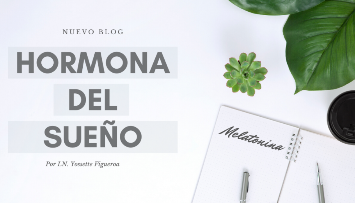 Blog Yoss Figueroa (1)